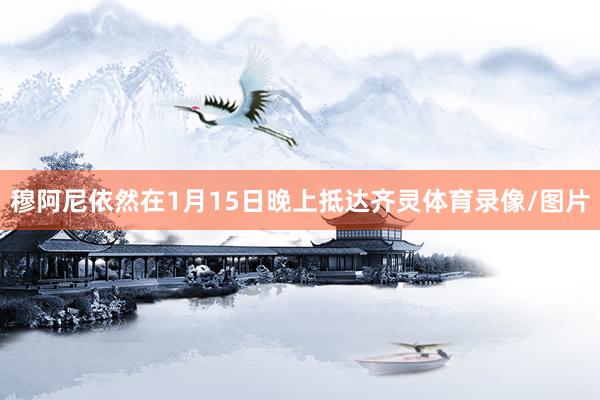 穆阿尼依然在1月15日晚上抵达齐灵体育录像/图片