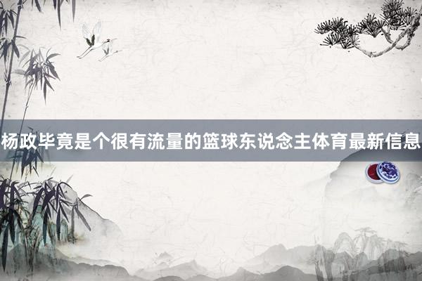 杨政毕竟是个很有流量的篮球东说念主体育最新信息