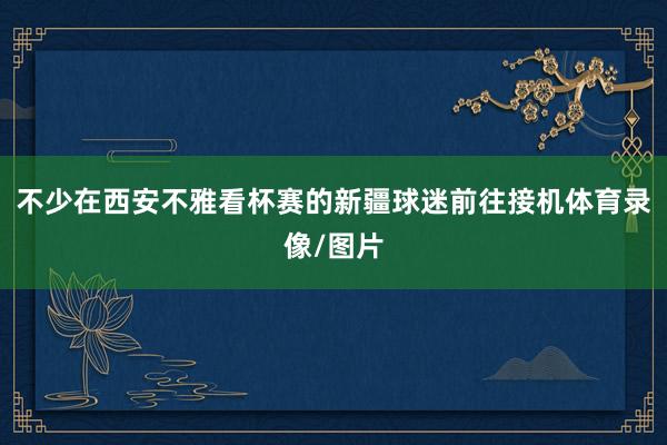 不少在西安不雅看杯赛的新疆球迷前往接机体育录像/图片