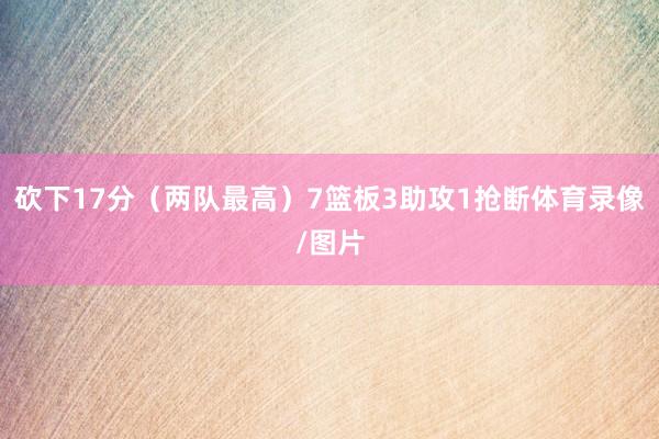 砍下17分（两队最高）7篮板3助攻1抢断体育录像/图片
