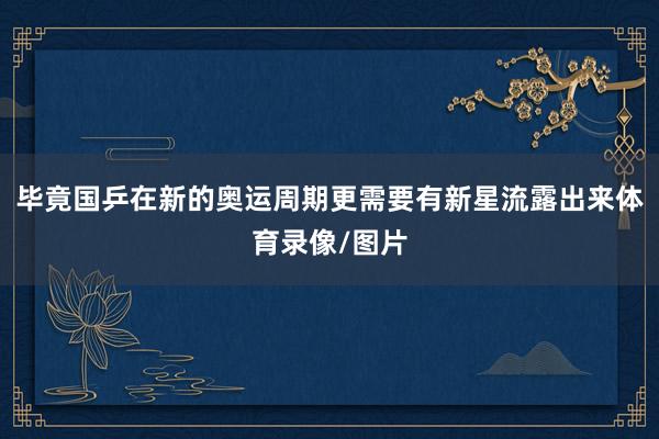 毕竟国乒在新的奥运周期更需要有新星流露出来体育录像/图片