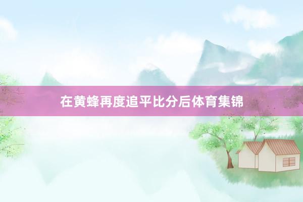 在黄蜂再度追平比分后体育集锦