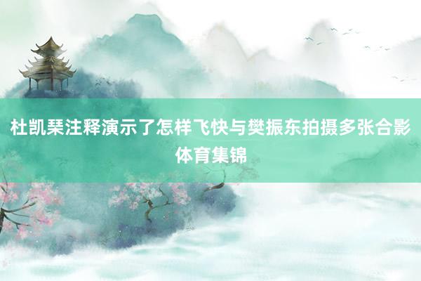 杜凯琹注释演示了怎样飞快与樊振东拍摄多张合影体育集锦