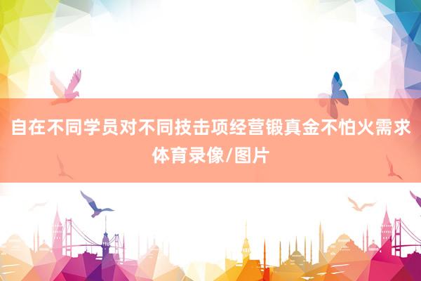 自在不同学员对不同技击项经营锻真金不怕火需求体育录像/图片
