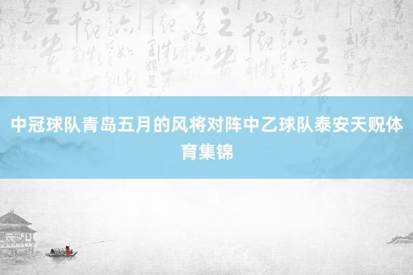 中冠球队青岛五月的风将对阵中乙球队泰安天贶体育集锦