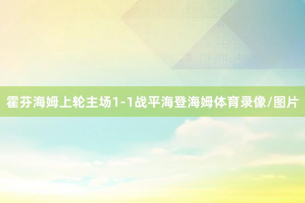 霍芬海姆上轮主场1-1战平海登海姆体育录像/图片