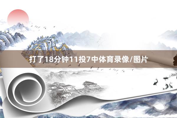 打了18分钟11投7中体育录像/图片