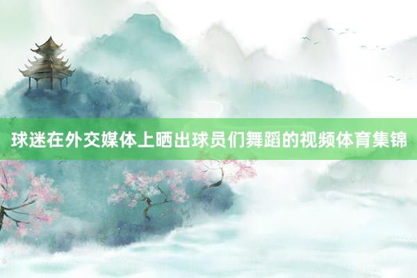 球迷在外交媒体上晒出球员们舞蹈的视频体育集锦