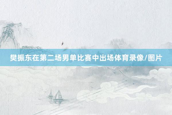 樊振东在第二场男单比赛中出场体育录像/图片