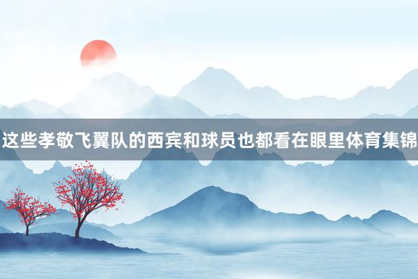 这些孝敬飞翼队的西宾和球员也都看在眼里体育集锦