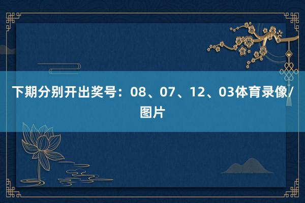 下期分别开出奖号：08、07、12、03体育录像/图片