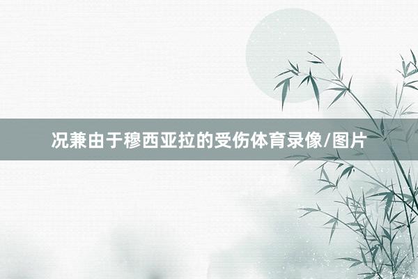 况兼由于穆西亚拉的受伤体育录像/图片