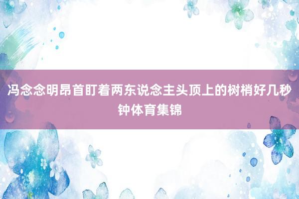 冯念念明昂首盯着两东说念主头顶上的树梢好几秒钟体育集锦