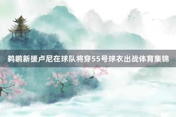 鹈鹕新援卢尼在球队将穿55号球衣出战体育集锦
