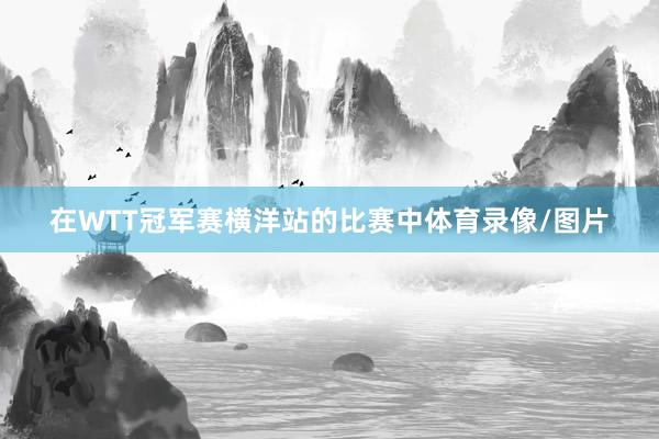 在WTT冠军赛横洋站的比赛中体育录像/图片