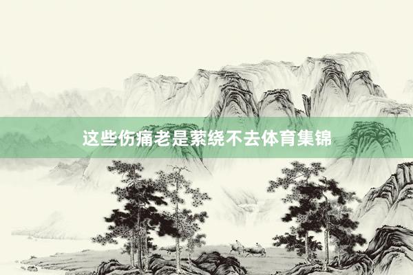 这些伤痛老是萦绕不去体育集锦