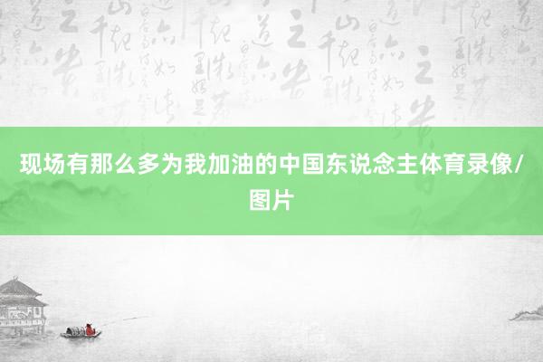 现场有那么多为我加油的中国东说念主体育录像/图片