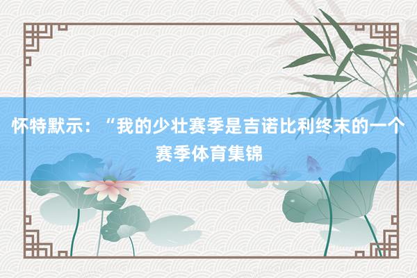 怀特默示：“我的少壮赛季是吉诺比利终末的一个赛季体育集锦