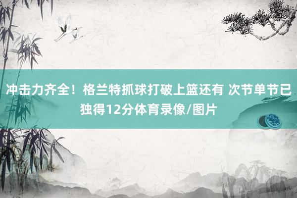 冲击力齐全！格兰特抓球打破上篮还有 次节单节已独得12分体育录像/图片