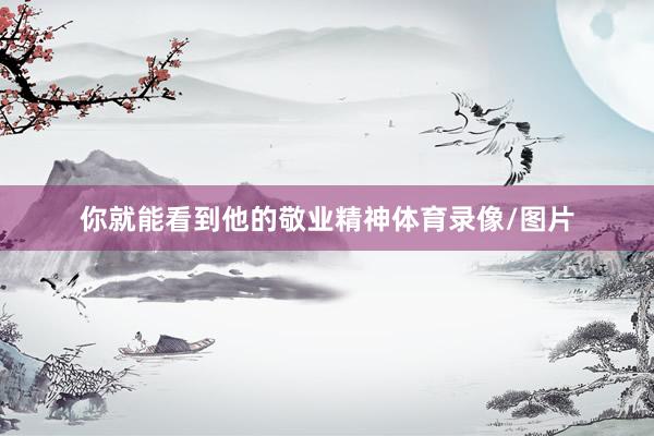 你就能看到他的敬业精神体育录像/图片