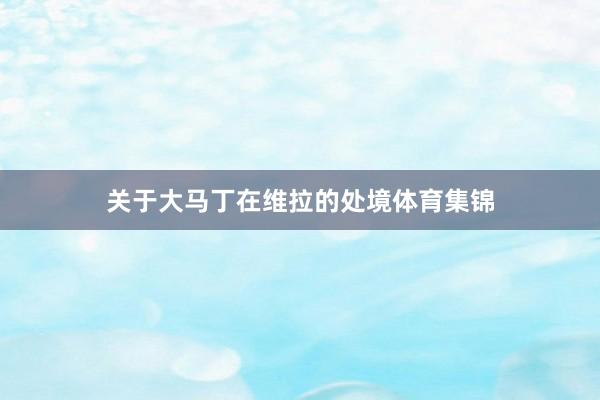 关于大马丁在维拉的处境体育集锦