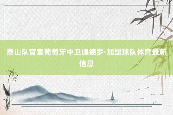 泰山队官宣葡萄牙中卫佩德罗·加盟球队体育最新信息