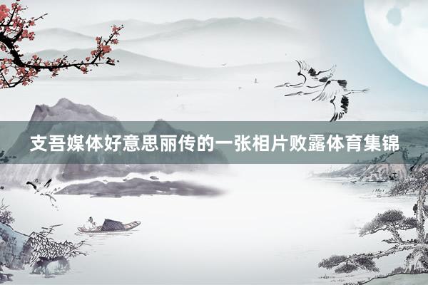 支吾媒体好意思丽传的一张相片败露体育集锦