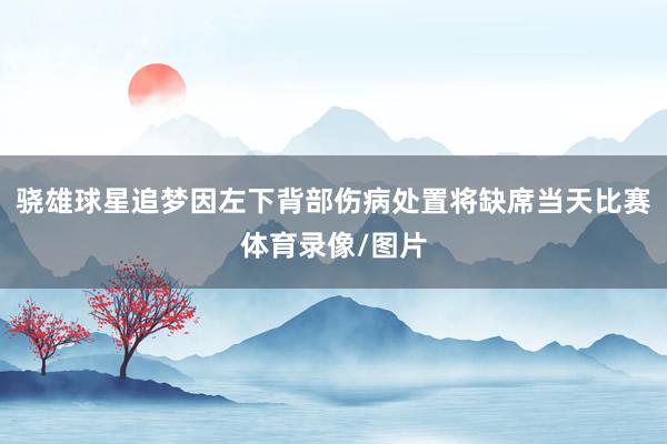 骁雄球星追梦因左下背部伤病处置将缺席当天比赛体育录像/图片