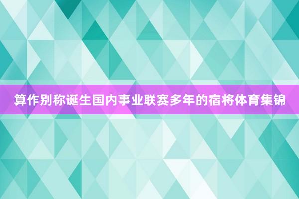 算作别称诞生国内事业联赛多年的宿将体育集锦