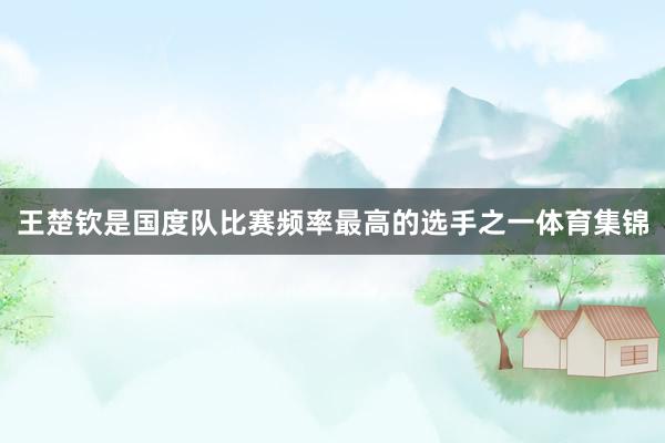 王楚钦是国度队比赛频率最高的选手之一体育集锦