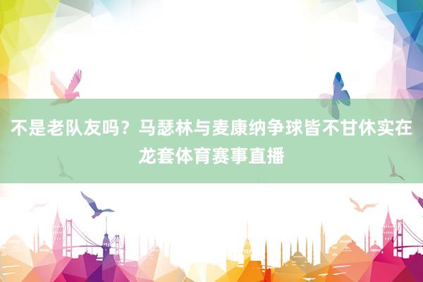 不是老队友吗？马瑟林与麦康纳争球皆不甘休实在龙套体育赛事直播