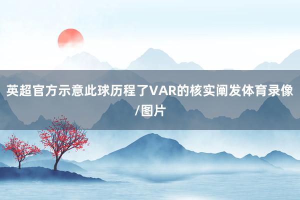 英超官方示意此球历程了VAR的核实阐发体育录像/图片