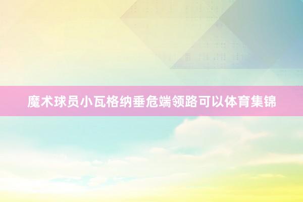魔术球员小瓦格纳垂危端领路可以体育集锦