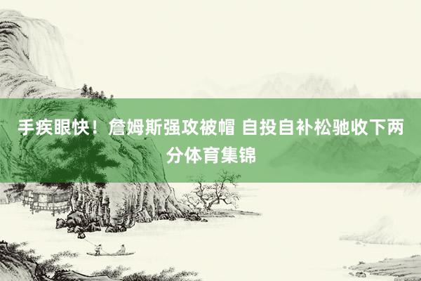 手疾眼快！詹姆斯强攻被帽 自投自补松驰收下两分体育集锦