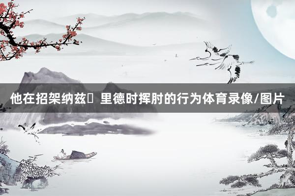 他在招架纳兹・里德时挥肘的行为体育录像/图片