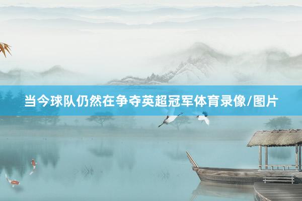 当今球队仍然在争夺英超冠军体育录像/图片