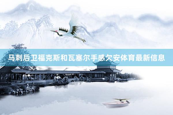 马刺后卫福克斯和瓦塞尔手感欠安体育最新信息