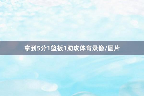 拿到5分1篮板1助攻体育录像/图片