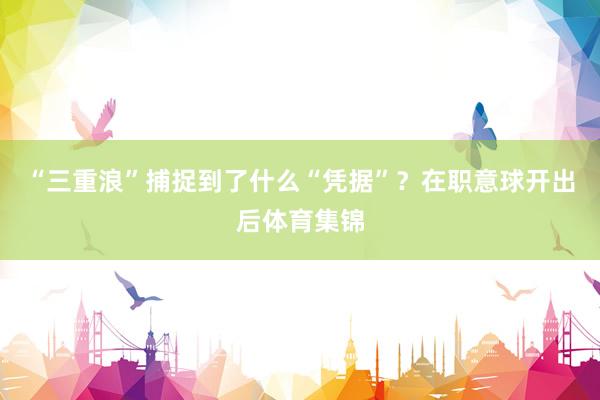 “三重浪”捕捉到了什么“凭据”？在职意球开出后体育集锦
