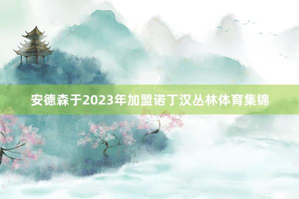 安德森于2023年加盟诺丁汉丛林体育集锦